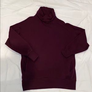 Aerie Turtleneck Sweatshirt